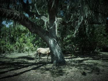 Original Documentary Landscape Photography by Santiago Vanegas