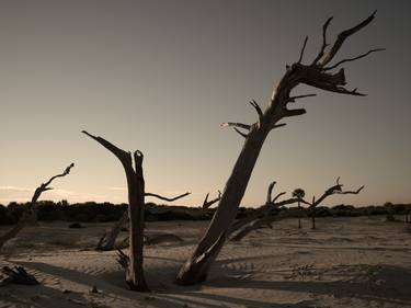 Original Documentary Landscape Photography by Santiago Vanegas