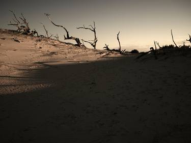 Cumberland Island #355, 1/15 thumb