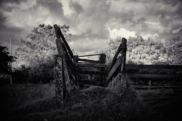 Original Rural life Photography by Santiago Vanegas