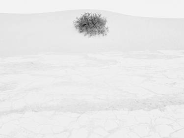 Original Abstract Landscape Photography by Santiago Vanegas
