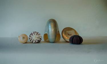 Still life with Seashells no.1 thumb