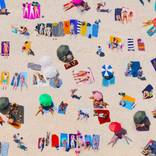 Collection Curator Picks: Acrylic Prints