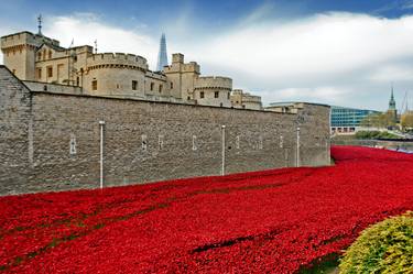 Tower Of London Poppy Blood Swept Lands thumb