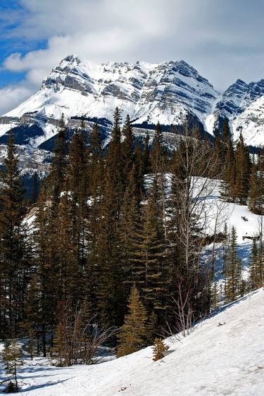 Canadian Rocky Mountains Icefields Parkway Canada thumb