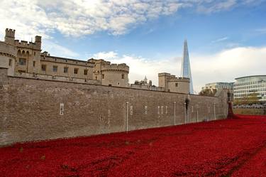 Tower of London Red Poppies UK thumb