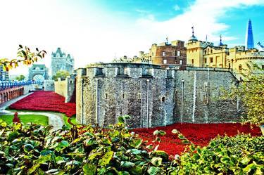 Tower of London Red Poppies UK thumb