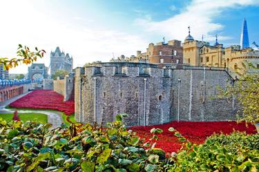 Tower of London Red Poppies UK thumb