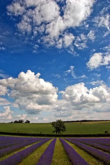 Original Landscape Photography by Andy Evans Photos