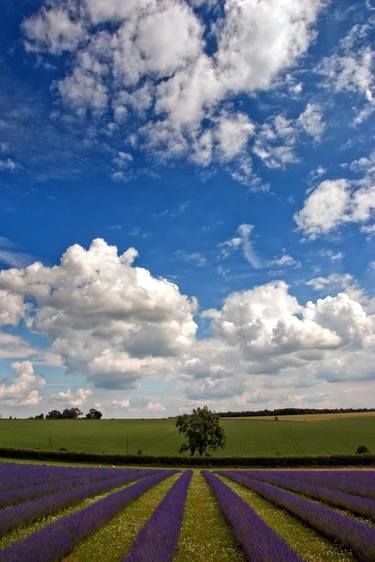 Original Fine Art Landscape Photography by Andy Evans Photos