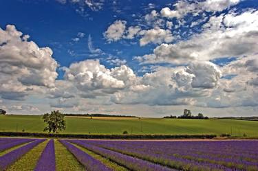 Original Fine Art Landscape Photography by Andy Evans Photos