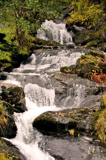 Print of Fine Art Nature Photography by Andy Evans Photos