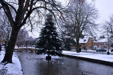 Bourton on the Water Christmas Tree Cotswolds thumb