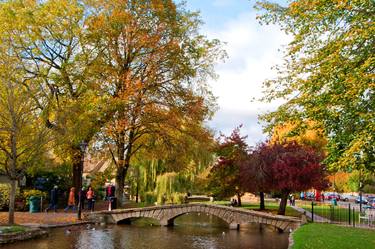 Autumn Trees Bourton on the Water Cotswolds Gloucestershire thumb