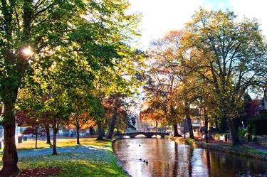 Autumn Trees Bourton on the Water Cotswolds UK thumb