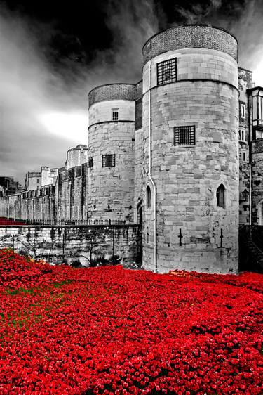 Tower of London Red Poppies England thumb