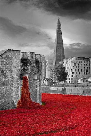Tower of London Red Poppies England thumb