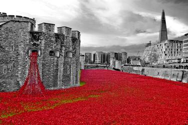 Tower of London Red Poppies England thumb