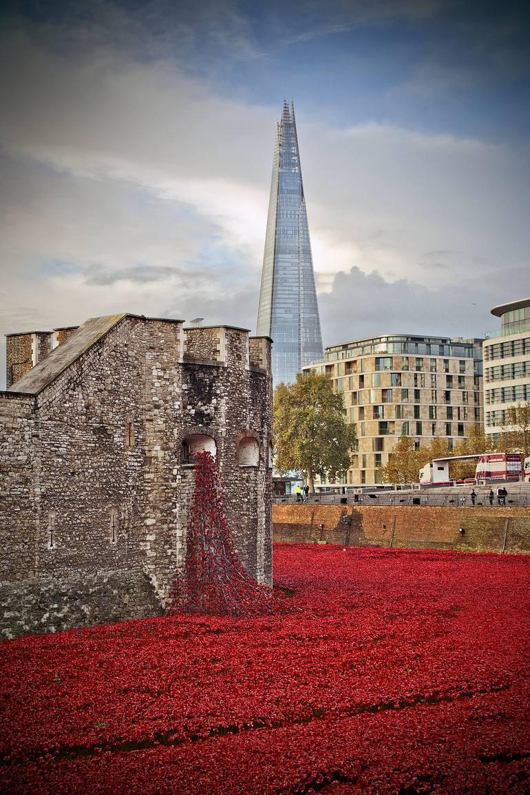Tower of London Poppy Poppies Blood Swept Lands Photography by Andy ...