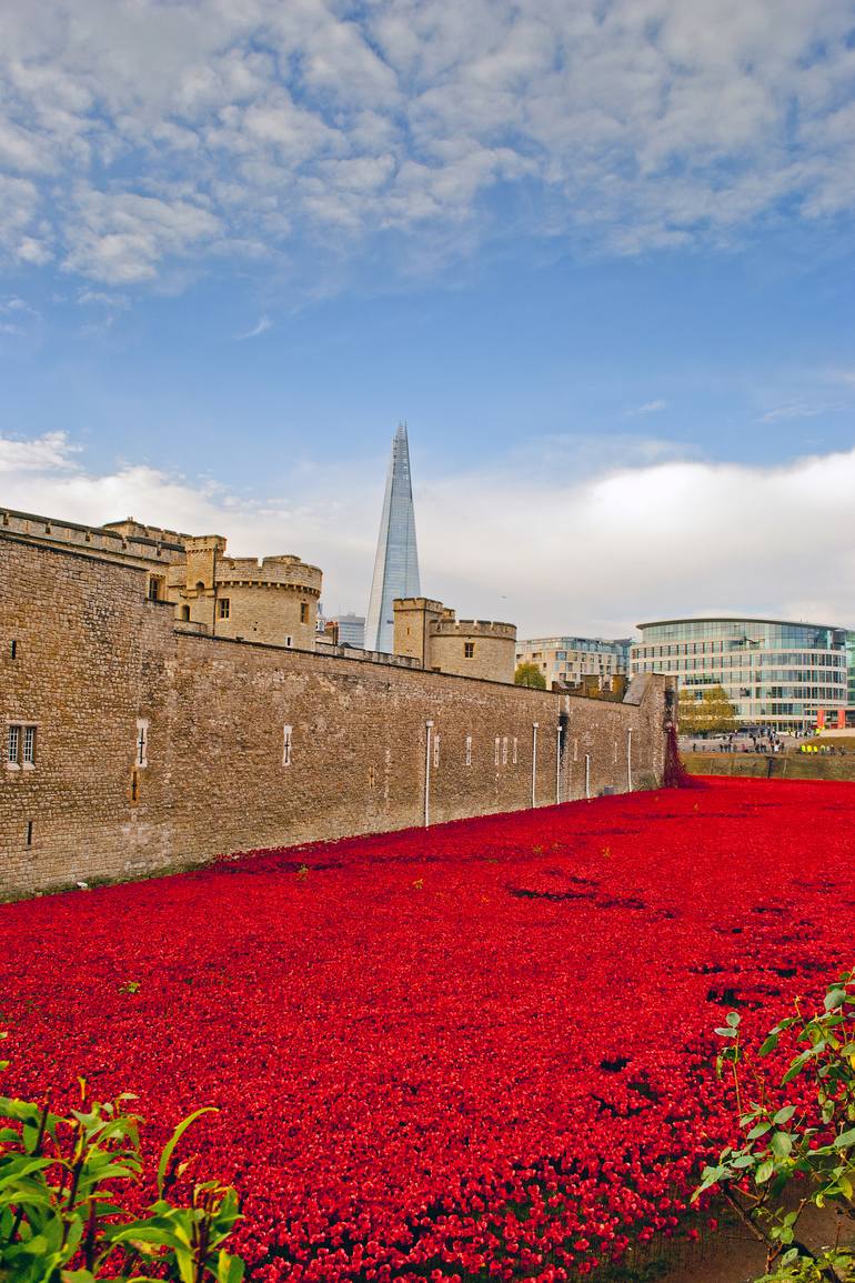 Original Architecture Photography by Andy Evans Photos | Contemporary Art on Paper | Poppies at The Tower of London Blood Swept Lands