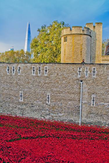 Tower Of London Poppies Poppy Seas Of Red thumb