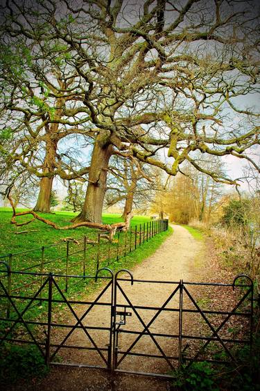 Morgaston Woods The Vyne Sherborne St John Hampshire thumb