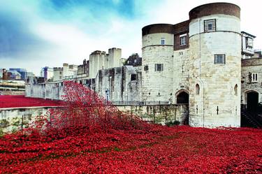 Tower Of London Poppies Red Poppy thumb