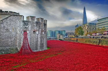 Tower of London Red Poppies England UK thumb