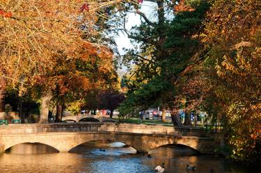 Bourton on the Water Autumn Trees Cotswolds thumb