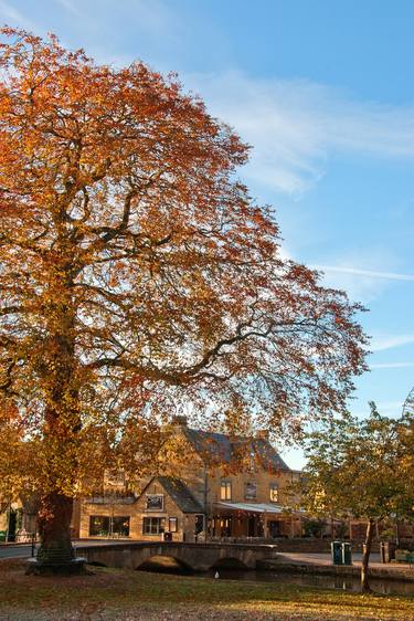 Bourton on the Water Autumn Trees Cotswolds UK thumb