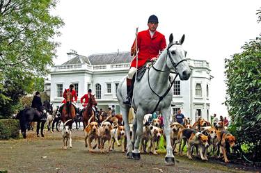 Foxhound Dogs Horses West Berkshire Hunt England thumb