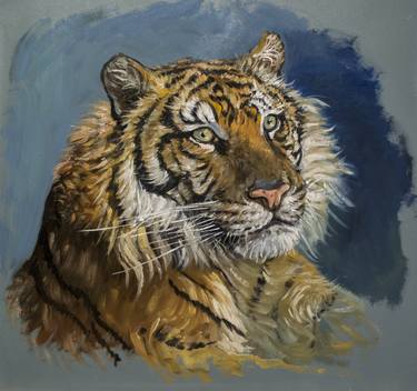 Original Realism Animal Paintings by Adam Maciejewski