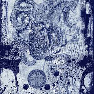 Collection ENCAUSTIC BLUEPRINTS