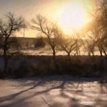 Winter Tracks by MWM Gallery
