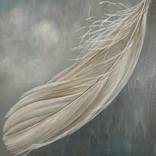 FEATHER I by Dorothea Cheney