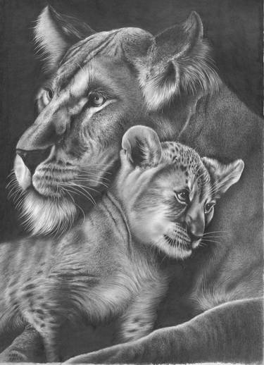 Print of Fine Art Animal Drawings by Jerry Winick