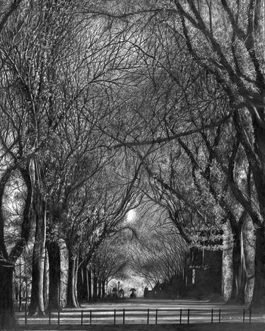 Print of Photorealism Tree Drawings by Jerry Winick