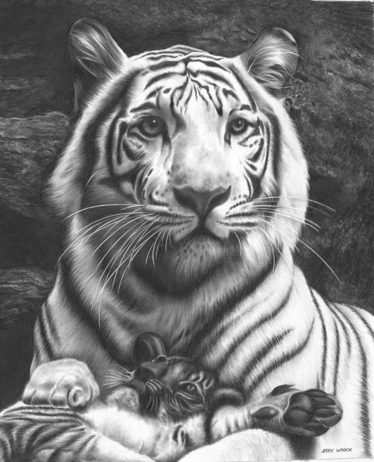 white tiger pencil drawings