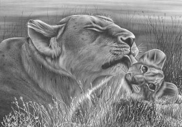 Lion and Cub thumb
