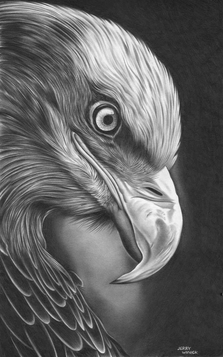 eagle drawings in pencil easy