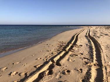 Original Documentary Beach Photography by George Haddad