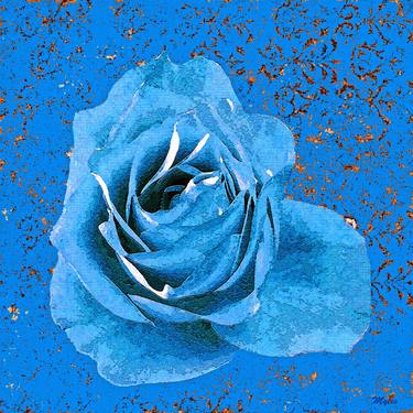 Roses Are blue thumb