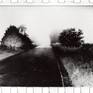 Image with borders.