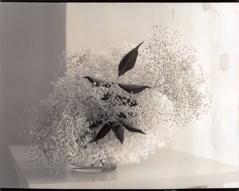 Original Other Still Life Photography by Alexander Kurganov