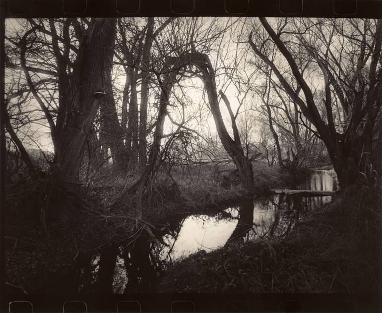 Original Other Landscape Photography by Alexander Kurganov