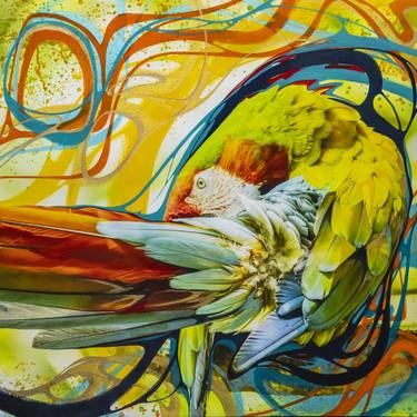 Original Abstract Expressionism Animal Mixed Media by Monica Lizano