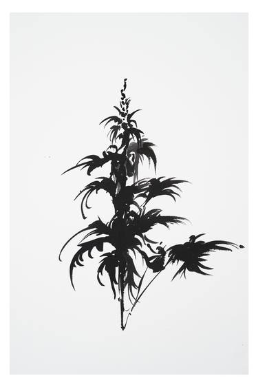 Original Botanic Drawings by Véronique Gambier