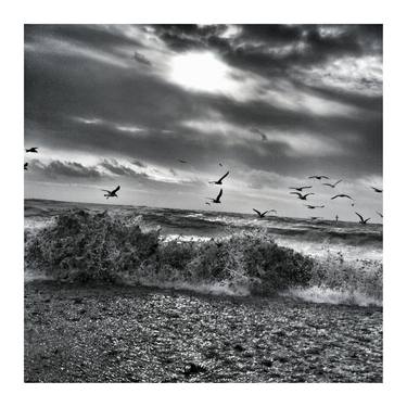 Original Photorealism Beach Photography by Noel Roche