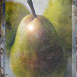 Collection Still Life  
