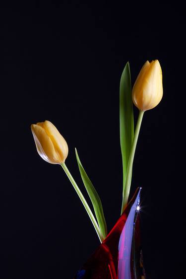 Original Fine Art Floral Photography by JoAnne Kalish